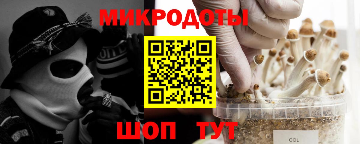 Горно-Алтайск  Галлюциногенные грибы Cubensis  Вход с VPN 