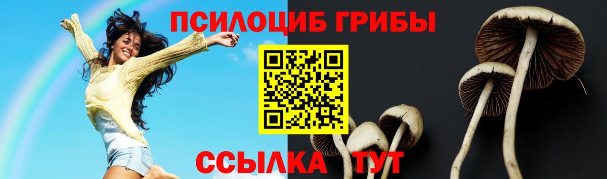 Галлюциногенные грибы MAGIC MUSHROOMS Горно-Алтайск